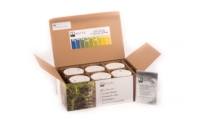 Solvita bioloogilise aktiivsuse test (6 pakk)