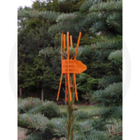 Tüvekaitse oranž, 100tk