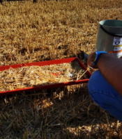 Teravilja koristuskadude mõõtja BushelPlus WiFi