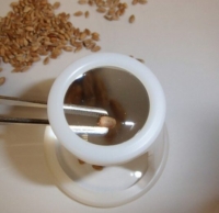 Seemnete uurimise luup