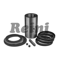 Reini-4S tihendite komplekt