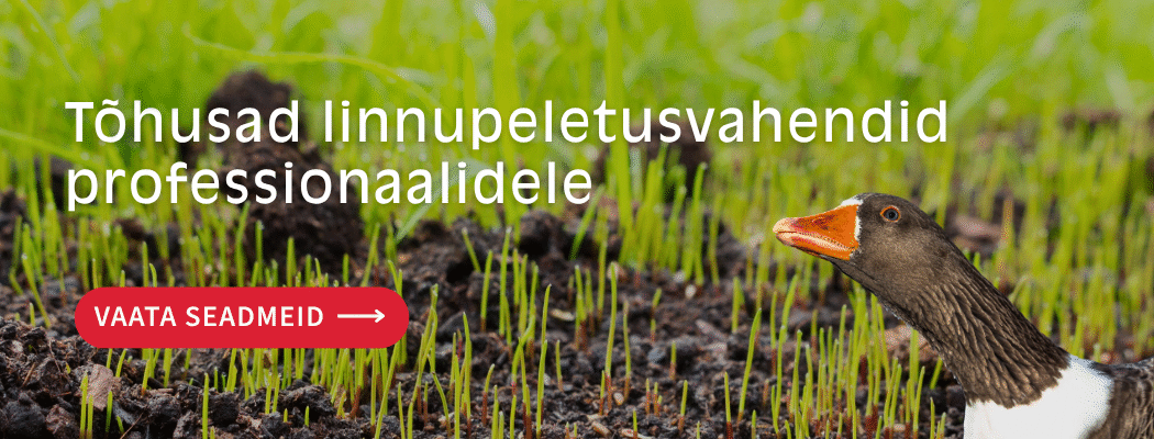 Avalehe banner 1050 x 400