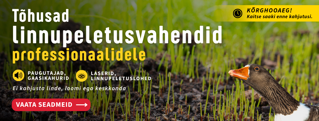 Avaleht 1 Avalehe HERO banner (1050 x 400)